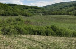 Teren intravilan in zona Roata Faget