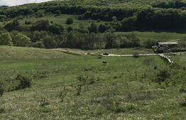Teren intravilan in zona Roata Faget