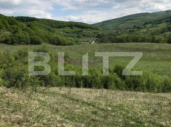 Teren de vânzare Floreşti - 116249TV | BLITZ Cluj-Napoca | Poza2
