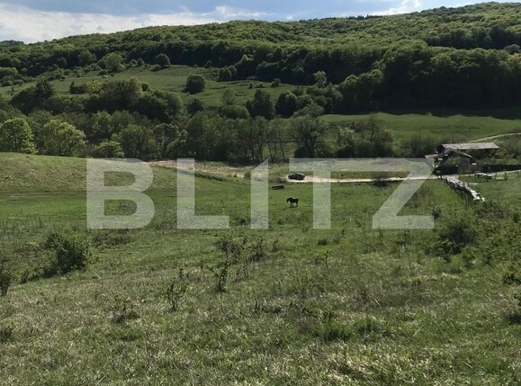 Teren de vânzare Floreşti - 116249TV | BLITZ Cluj-Napoca | Poza1