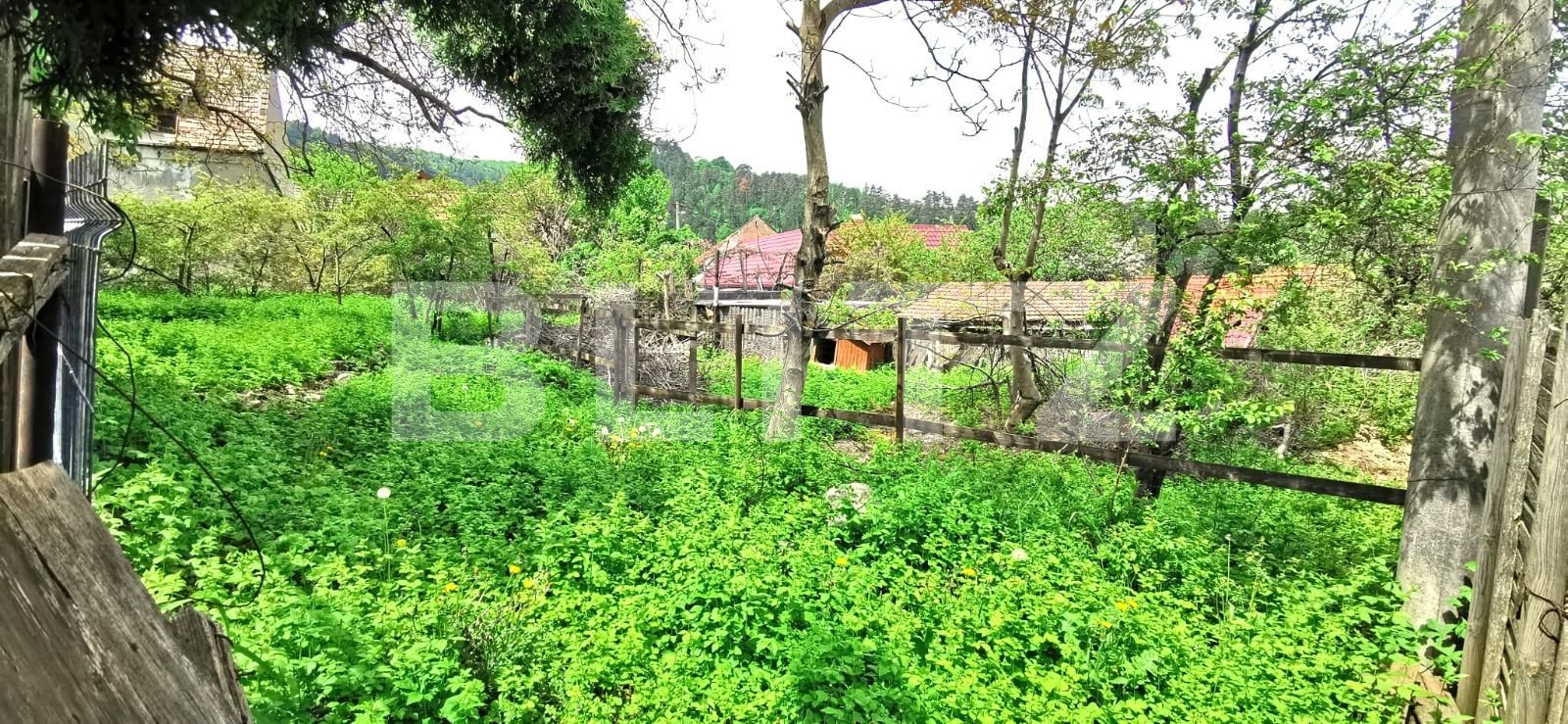 Teren de vânzare Schei - 116287TV | BLITZ Brașov | Poza2