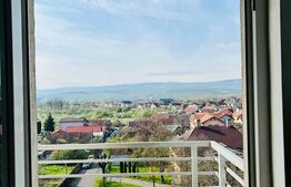 Apartament 40mp, decomandat, zona Traian Vuia