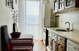 Apartament 40mp, decomandat, zona Traian Vuia