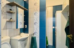 Apartament 40mp, decomandat, zona Traian Vuia