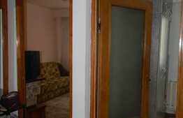 Apartament cu 2 camere de inchiriat, 30 mp utili, zona Ion Mester
