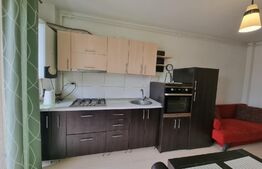 Oportunitate de investiție! 2 camere, balcon, etaj intermediar, parcare, zona Edgar Quinet 