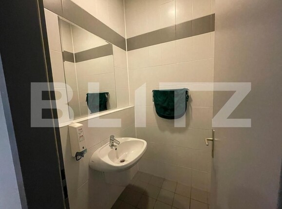 Spațiu industrial de închiriat Apahida - 116388SII | BLITZ Cluj-Napoca | Poza8