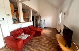 Apartamentul perfect pentru investitie! 54 mp, zona Transylvania College