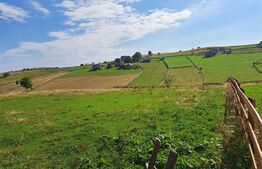 Teren intravilan in localitatea  Maguri Racatau 1587mp