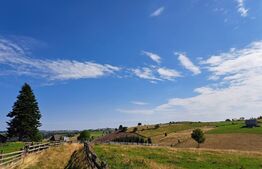 Teren intravilan in localitatea  Maguri Racatau 1587mp