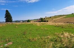 Teren intravilan in localitatea  Maguri Racatau 1587mp