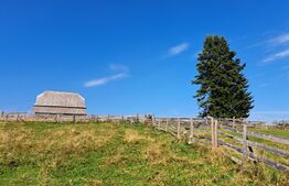 Teren intravilan in localitatea  Maguri Racatau 1587mp