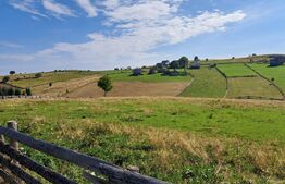 Teren intravilan in localitatea  Maguri Racatau 1587mp