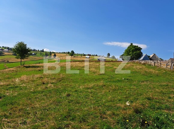 Teren de vânzare Măguri-Răcătău - 116426TV | BLITZ Cluj-Napoca | Poza15