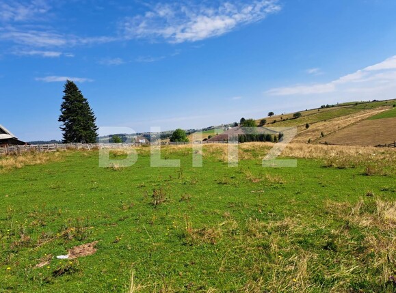 Teren de vânzare Măguri-Răcătău - 116426TV | BLITZ Cluj-Napoca | Poza14