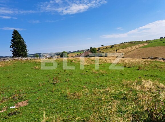 Teren de vânzare Măguri-Răcătău - 116426TV | BLITZ Cluj-Napoca | Poza11