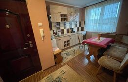 Apartament 2 camere, view superb, zona Eremia Grigorescu