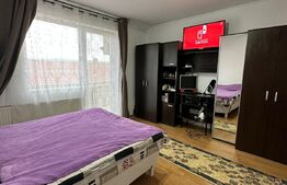 Apartament cu o camera | parcare cu cf | zona strazii Traian Vuia