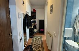 Apartament cu o camera | parcare cu cf | zona strazii Traian Vuia