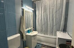 Apartament cu o camera | parcare cu cf | zona strazii Traian Vuia