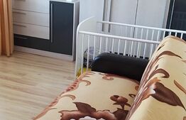 Garsoniera spatioasa, 30 mp + balcon , zona Dambul Rotund