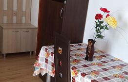 Garsoniera spatioasa, 30 mp + balcon , zona Dambul Rotund