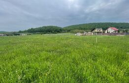 Teren extravilan de vanzare, 4551mp, front de 27 ml, Gilau Vest 