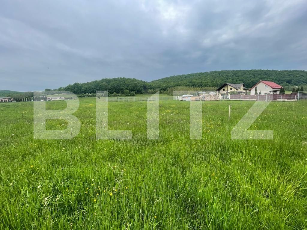 Teren de vânzare Gilău - 116459TV | BLITZ Cluj-Napoca | Poza2