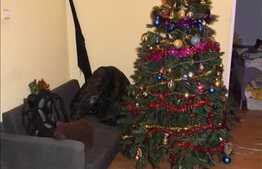 Apartament de vanzare, 3 camere, 70 mp, boxa la subsol, zona strazii Mehedinti!