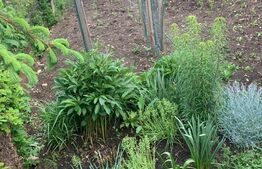 Casa individuala, 260 mp teren, Turda