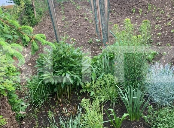 case ieftine Turda | Poza6