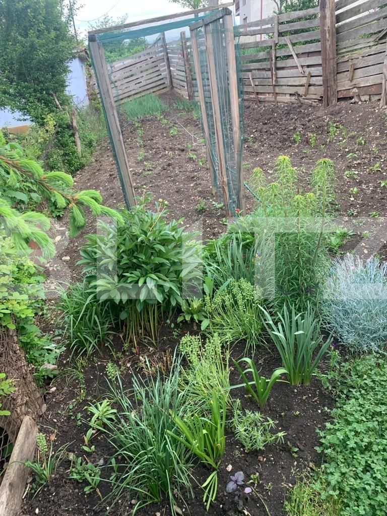 case ieftine Turda | Poza6