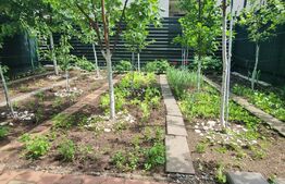 Apartament 2 cam, 40 mp, gradina 50 mp, zona Sub Cetate