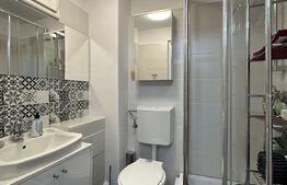 Garsoniera 22 mp, zona Iulius  mall 