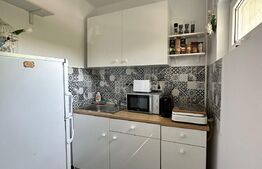 Garsoniera 22 mp, zona Iulius  mall 