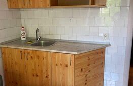Apartament de 2 Camere, 48mp, Griviţei