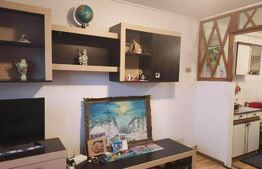 Garsonieră 24 mp luminoasa, centrala proprie, mobilata si utilata, zona Sacele