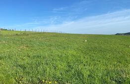 Teren extravilan in Popesti, 5800 mp, zona de case