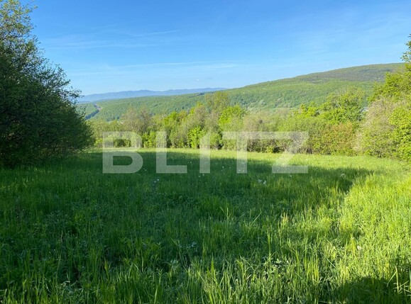 Teren de vânzare Popesti - 116856TV | BLITZ Cluj-Napoca | Poza2