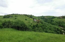 Teren, 12.928 mp, Poiana Mărului, Brașov