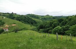 Teren, 12.928 mp, Poiana Mărului, Brașov