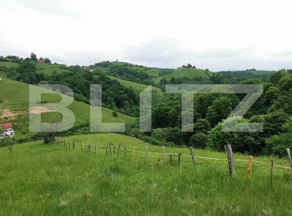 Teren de vânzare Poiana Marului - 116884TV | BLITZ Brașov | Poza3