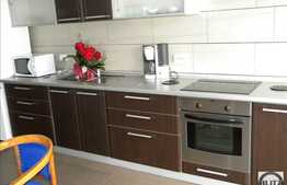 Apartament cu 3 camere, 115 mp , cu terasa 20 mp, zona Parcul Babes