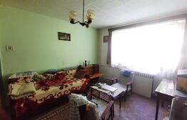 Apartament 2 camere, parter, zona Iulius Mall