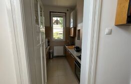 Proprietate unică în Grigorescu: Casă superbă și plină de caracter, într-o zonă liniștită de vile