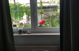 Proprietate unică în Grigorescu: Casă superbă și plină de caracter, într-o zonă liniștită de vile