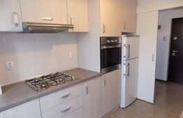 2 camere, 55 mp, imobil nou, mobilat modern, terasa de 53 mp, zona strazii Dunarii