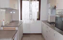 2 camere, 55 mp, imobil nou, mobilat modern, terasa de 53 mp, zona strazii Dunarii