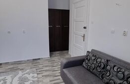 Garsoniera situata la casa, 30mp, Centrul Civic