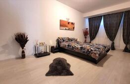 Apartament 2 camere, zona Dynamic Residence